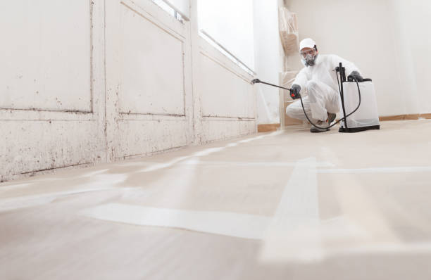 24/7 Emergency Commercial Mold Remediation experts in Fair Lawn, NJ